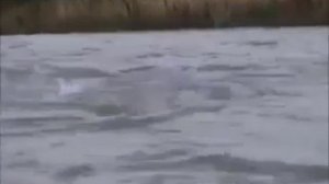Узбекистан - речка Чирчик