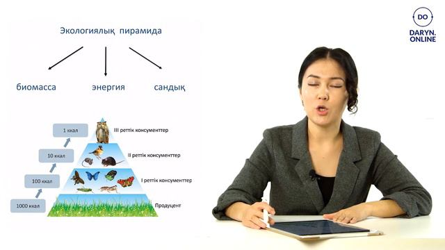 Экологиялық перамида 6  сынып №3 сабақ