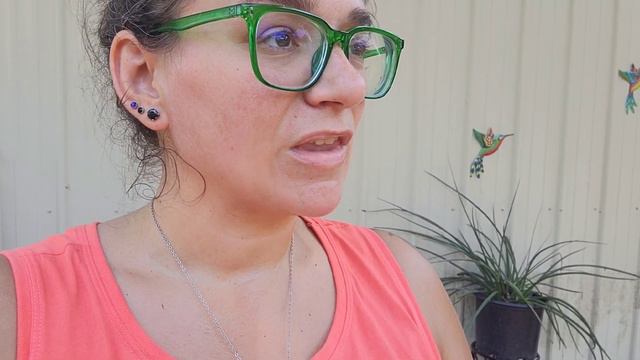 Mulching the Cottage Kitchen Garden | Organic Gardening | Elizabeth's DIY Home & Garden смотреть онлайн