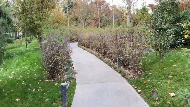 ЯПОНСКИЙ САД 2000 за ресторан КРАСНОДАР 13.11.2023