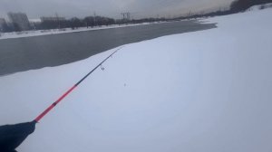 Москва-река после сильного снегопада: ищем рыбу и пробиваем тропинки!