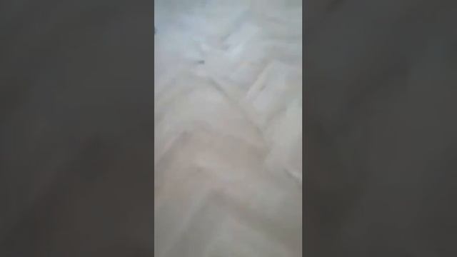 Циклевка нового паркета смотреть онлайн
