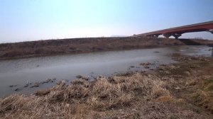 Как я вижу рыбу в мутной воде, Рыбалка с Рогаткой на Сазана.