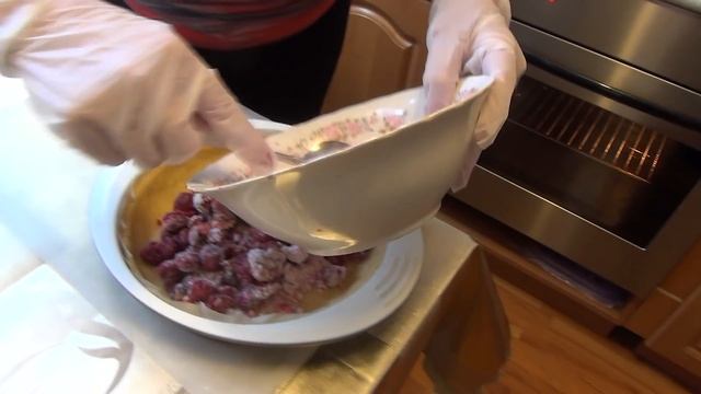 Шоу и Концерты