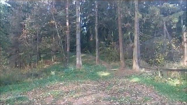 Калина! смотреть онлайн