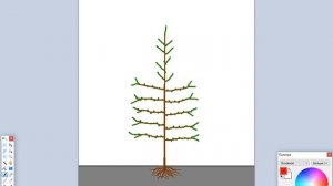 Формировка черешни. Стройное веретено, в интенсивных садах черешни.  Как формировать и обрезать.