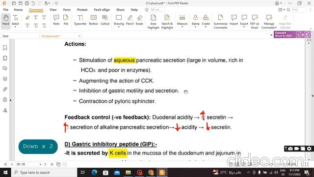 Tut 1 - Physiology - Hormonal regulation of GIT functions - GIT смотреть онлайн