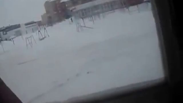 Немецкая овчарка и кость. Как выработать терпение. смотреть онлайн