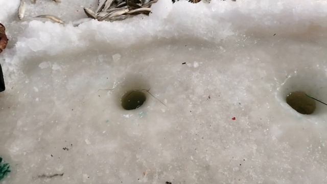 Когда клюет тайфун. Ловля корюшки. Сахалинская рыбалка & Sakhalin fishing смотреть онлайн