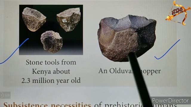 9th SOCIAL History Unit 1 FULL LESSON Part 2 EVOLUTION OF HUMANS & SOCIETY PREHISTORIC PERIOD TAMIL смотреть онлайн