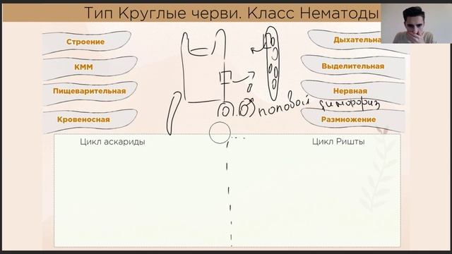 Круглые черви | Биология ЕГЭ смотреть онлайн