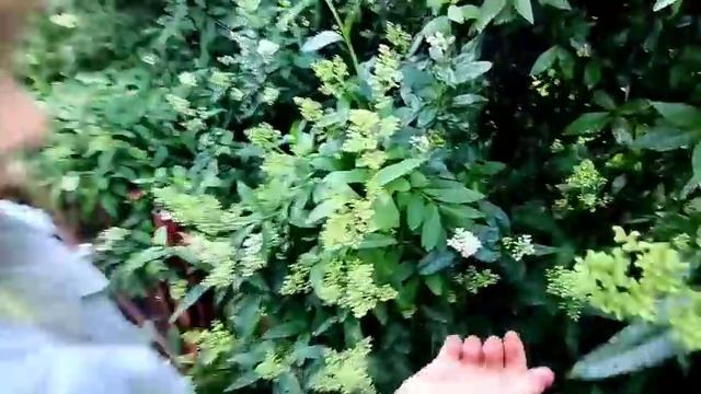 Отмечаем выпускной Евочки . Не получилось как хотели ! смотреть онлайн