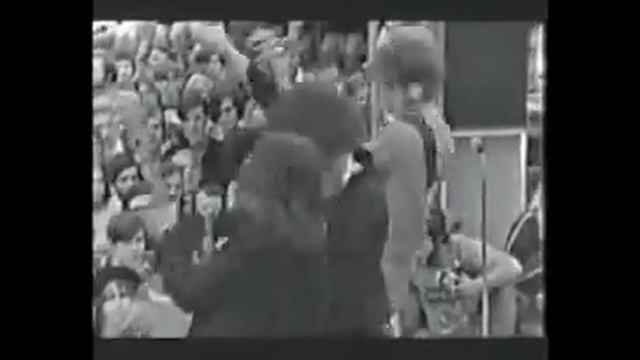 MC5 Video Loop