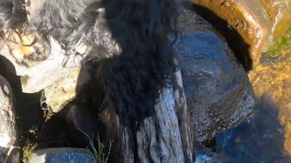 УМБА. УХА из свежей ГОРБУШИ. РЫБАЛКА НА УМБЕ. "EAR of fresh PINK SALMON."