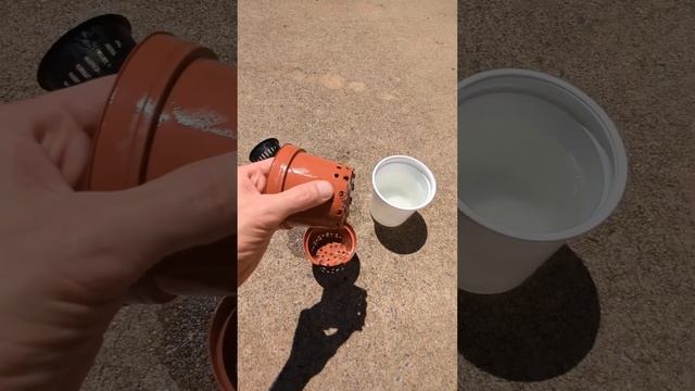 Гидропоника. Как убрать соль. Часть 2 смотреть онлайн