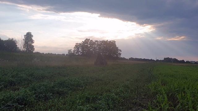 Заготовка сіна 2022 смотреть онлайн