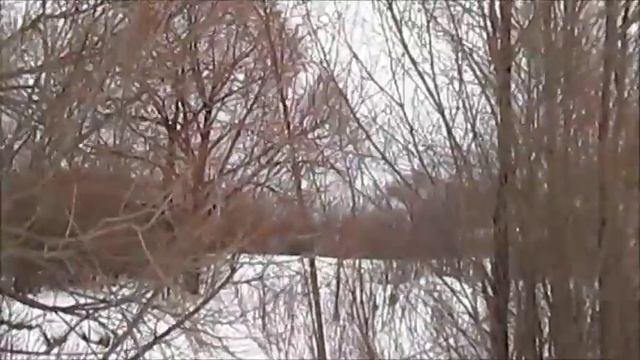 22 февраля у мосточка смотреть онлайн
