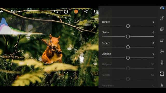 Tropical Green Preset - Nature Presets | Free Lightroom Presets XMP & DNG | Lightroom Tutorials смотреть онлайн