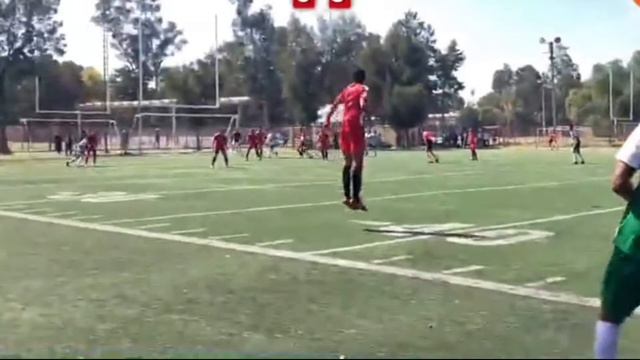 Golazo de “POLI” Daniel Hernandez #novillosneza #LigaTDP смотреть онлайн