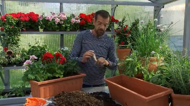 Garteln 0505 16 Bewaesserung Balkonblumen