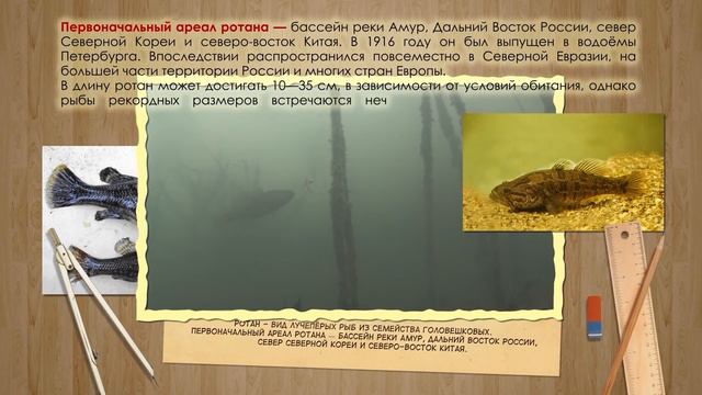 Рыболовные истории. Рыбалка на Уде. смотреть онлайн