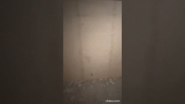 ЖК NEWПИТЕР?Отделка по готовому дизайн-проекту "Шоколад". смотреть онлайн