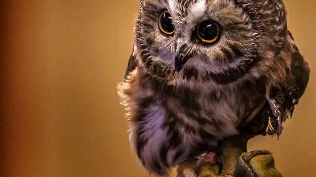 Новинки музыка онлайн. Настоящий хит! Это стоит увиде... смотреть онлайн