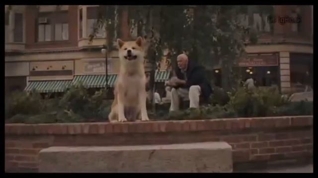 Самый верный друг (ost Хатико "After") смотреть онлайн