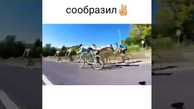 На велике родился смотреть онлайн