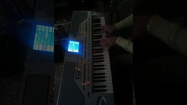 Maestro by Chadi Bazzi смотреть онлайн