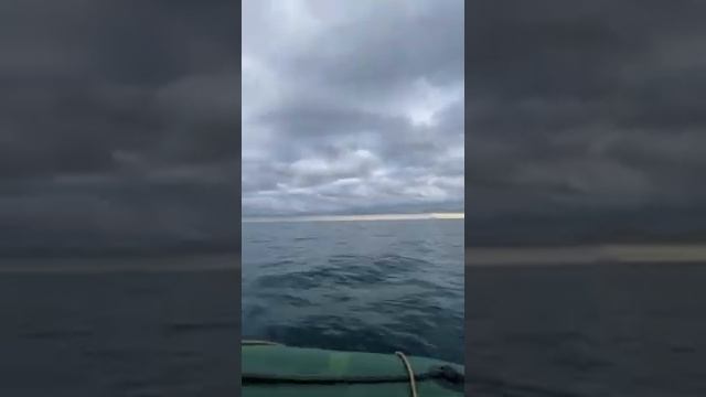 Рыбалка Ялта. Сельдь, ставрида. 26 ноября 2021 смотреть онлайн