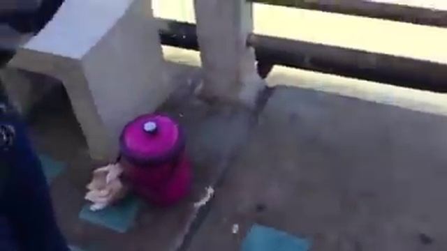 Самуи тайская рыбалка смотреть онлайн