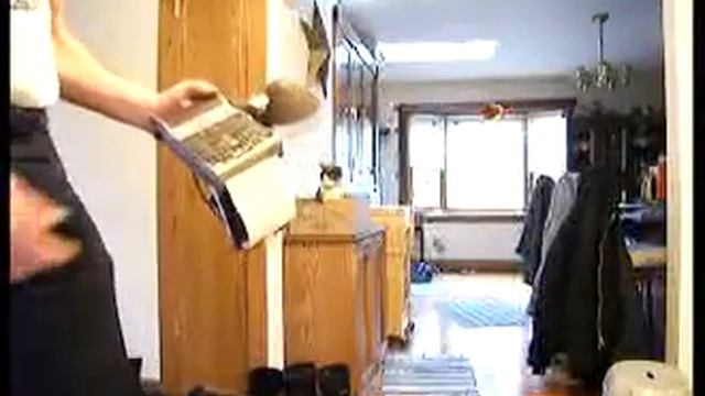 Polaroid Model 95 Video