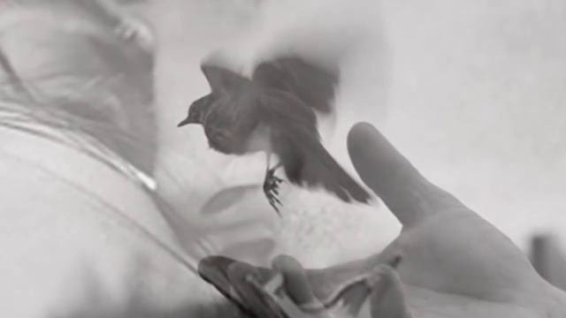 ОТРЕКАЯСЬ ОТ ЛЮБВИ смотреть онлайн