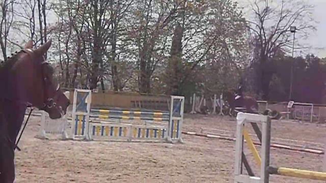 Emanuil Manolov in Varna 07.05.2011 смотреть онлайн