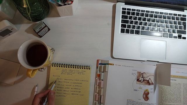 Как читать сложные тексты смотреть онлайн