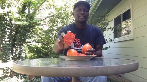 Cosmonaut Volkov Tomatoes