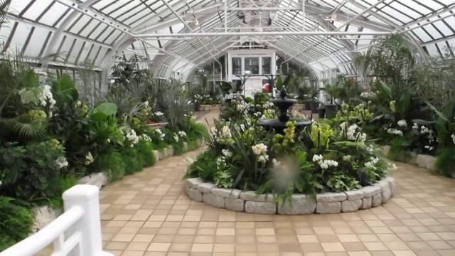 Вход на экспозицию орхидей.MOV смотреть онлайн
