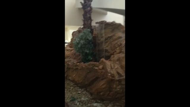 Алина и Лена на Мёртвом море | Самый большой Спа-отель David Dead Sea смотреть онлайн