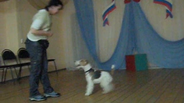 тренировка Форт и Астя.mp4 смотреть онлайн