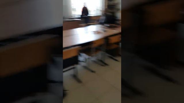 Выставка Бонсай в Майкопе смотреть онлайн