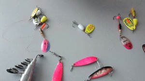 эффективные блёсна для ловли лососёвых пород