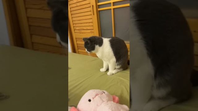 VID_20231121_094831_115.mp4