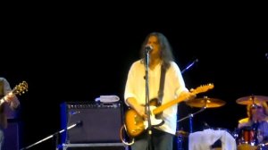 Чиж и Ко - 18 берёз (в Перми)