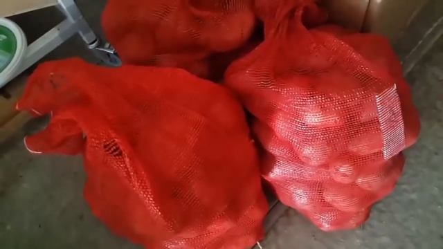 Как мы копаем картошку. Обзор сортов. Фитофтора на картофеле, как избавиться. смотреть онлайн