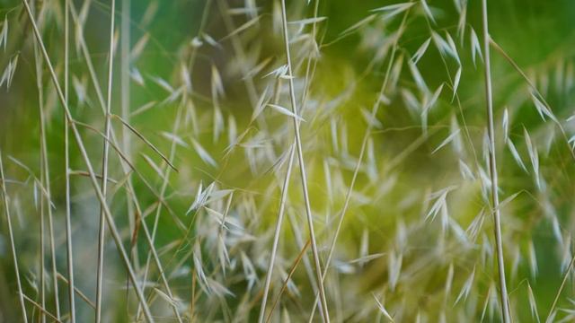 Тепло души - Крис Сфирис (Chris Spheeris) смотреть онлайн