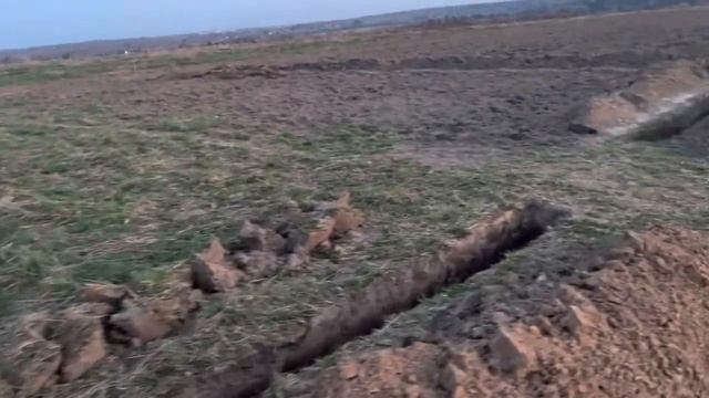 Капельный+полив+19