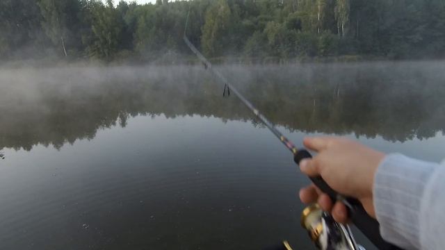 ОТ ЭТОГО СИЛИКОНА ОКУНЬ ПРОСТО ДУРЕЕТ! Клюет с каждого заброса! Рыбалка на окуня! смотреть онлайн