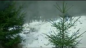 Капитан Гордеев  Кровные братья