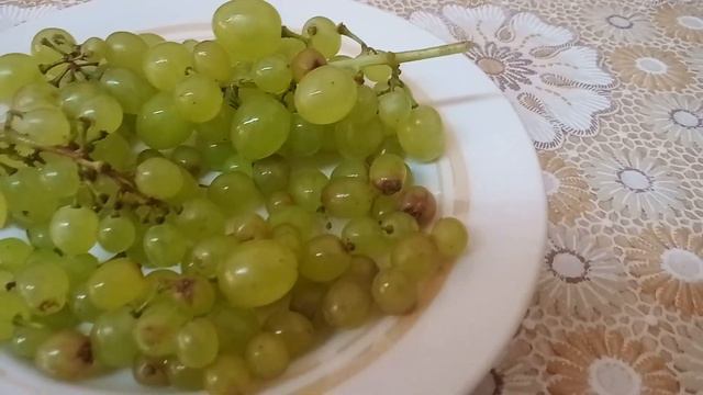 Климовский Дом Интернат.Пансионат Подольский. (Чудо Полдник ).У нас 